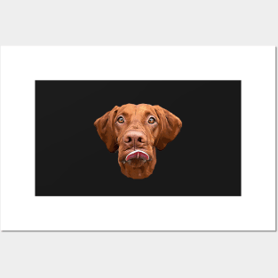 Hungarian Vizsla - Cute Face! Posters and Art